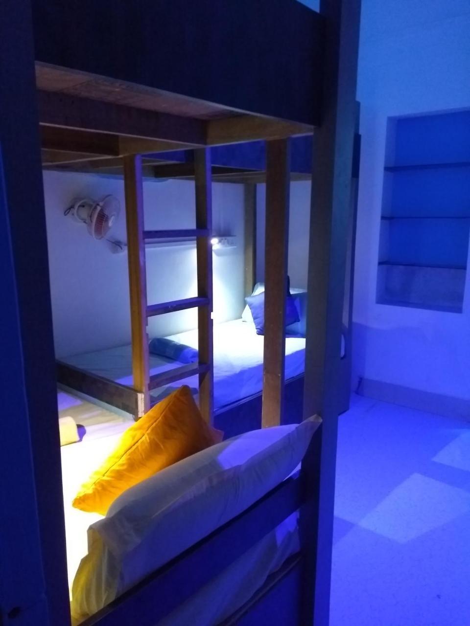Hostel La Vaca India *
